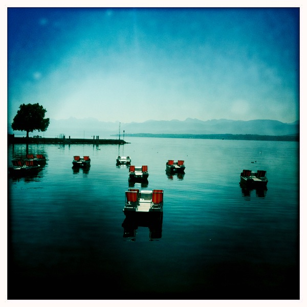 Hip 330854892.257039