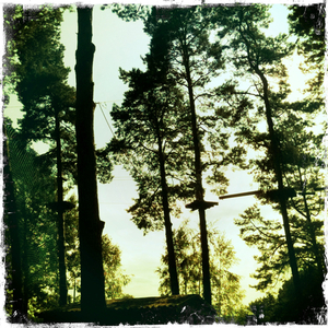 Hip 335365906.849855