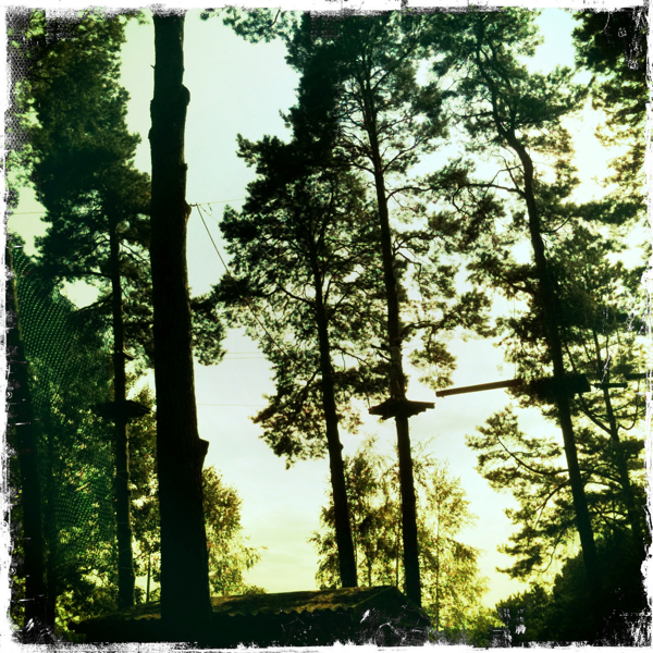 Hip 335365906.849855