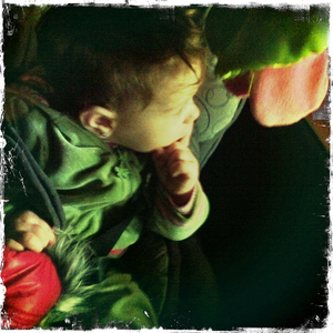 Hip 335445176.705656