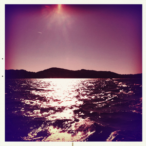 Hip 334770261.430475