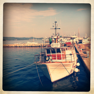 Hip 334130889.878447