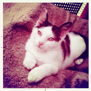 Hip 335448365.589676