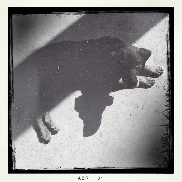 Hip 325434023.585364