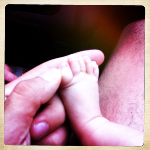 Hip 335441322.330309