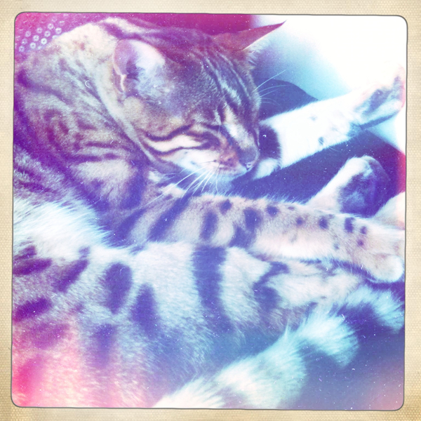 Hip 335451402.814101