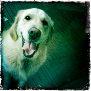 Hip 333680443.526466