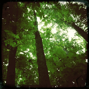 Hip 330130679.959501