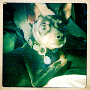 Hip 295816953.706907