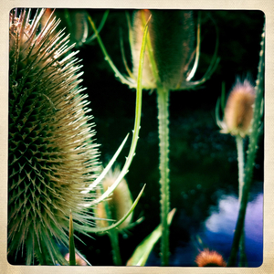 Hip 335445247.922096