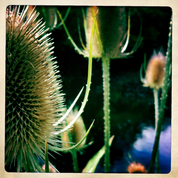 Hip 335445247.922096