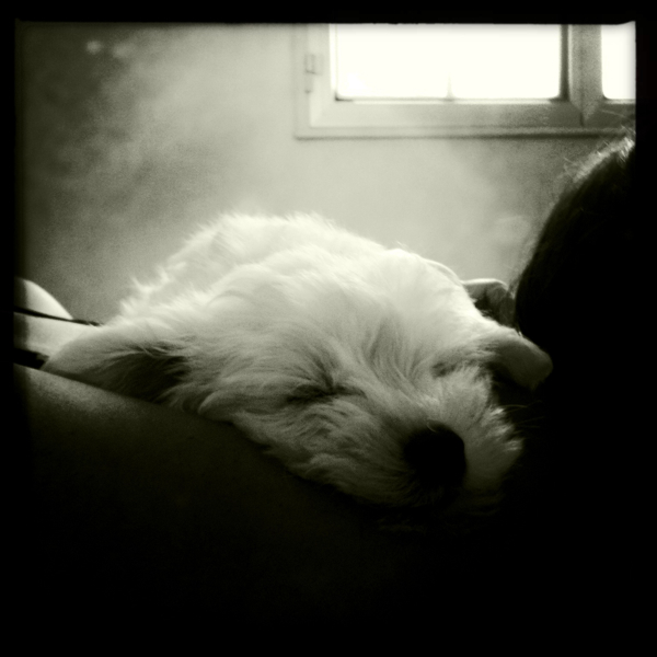 Hip 335121187.471034