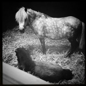 Hip 303993667.788182