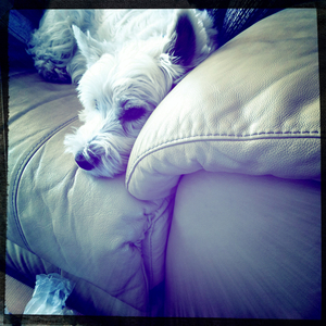 Hip 335459820.655249