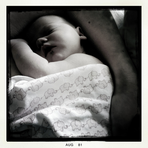 Hip 335459583.563750