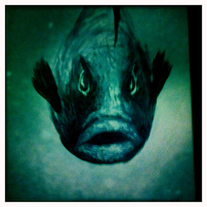 Hip 334399942.189199