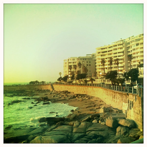 Hip 335462765.395490