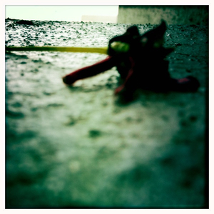 Hip 333869417.341008