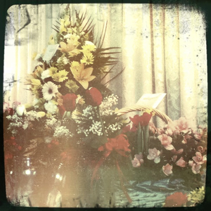 Hip 318542481.188708