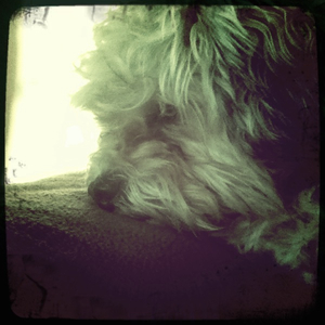 Hip 314394620.411663