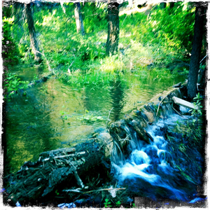 Hip 331782829.531990