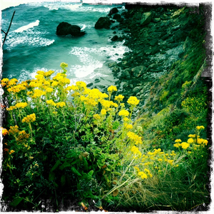 Hip 299610480.919889