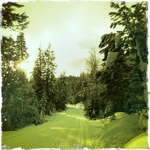 Hip 315178543.362297