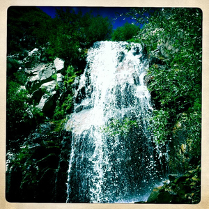 Hip 301267880.141126