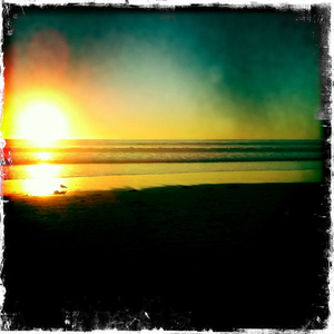 Hip 317091324.848101