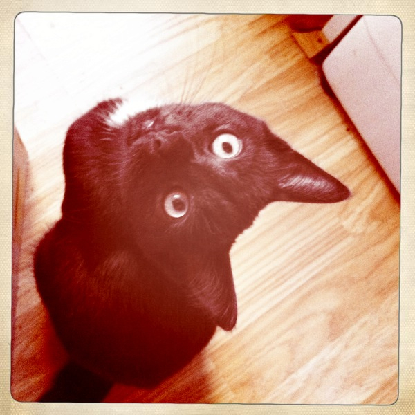 Hip 335467008.017055