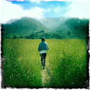 Hip 299612571.418934