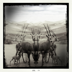 Hip 331852424.372936