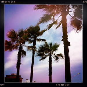 Hip 330031781.626470