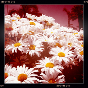 Hip 330032173.233085