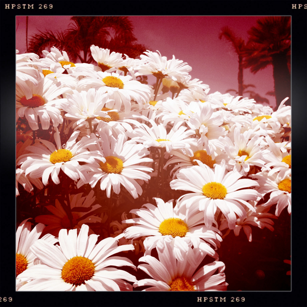 Hip 330032173.233085