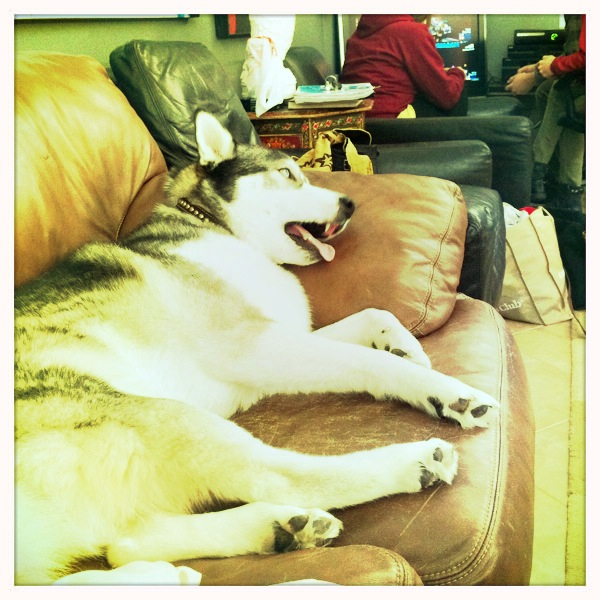 Hip 315357235.590652