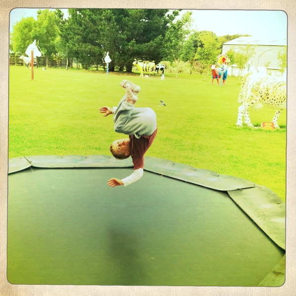 Hip 335444500.401267