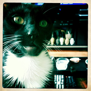 Hip 335468130.138791