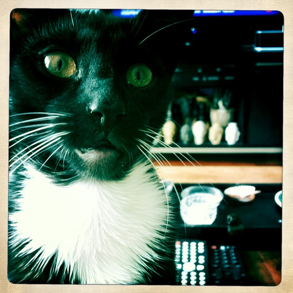 Hip 335468130.138791