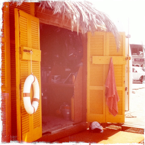 Hip 335280781.612541