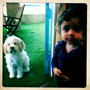 Hip 334910796.487842