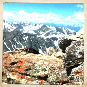 Hip 332787549.413612