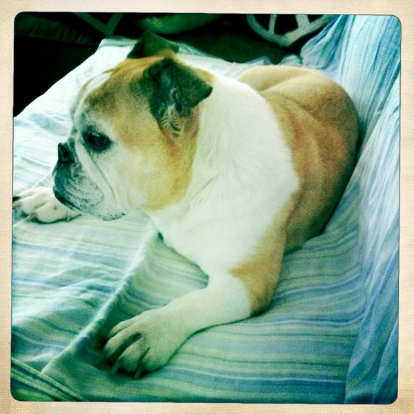 Hip 335469970.289313