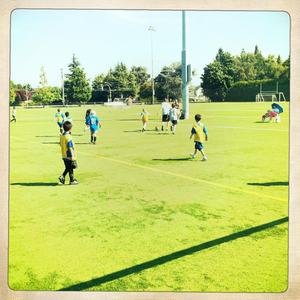 Hip 335470189.424730