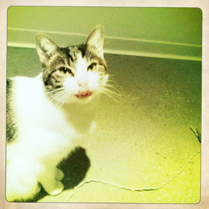 Hip 316488407.581043