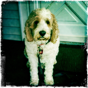 Hip 328991508.535993