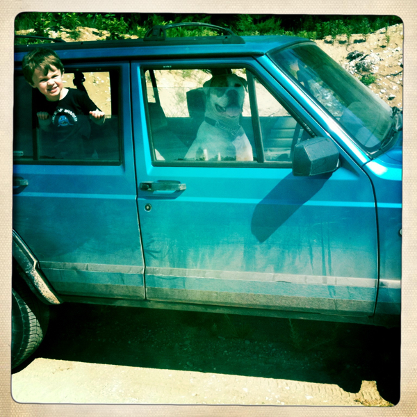 Hip 331399159.221809