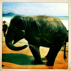 Hip 334053657.042661