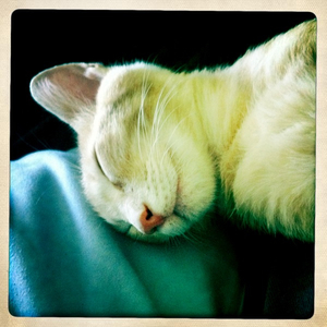 Hip 335474404.969170