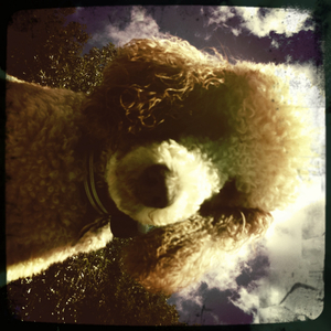 Hip 335135653.608107